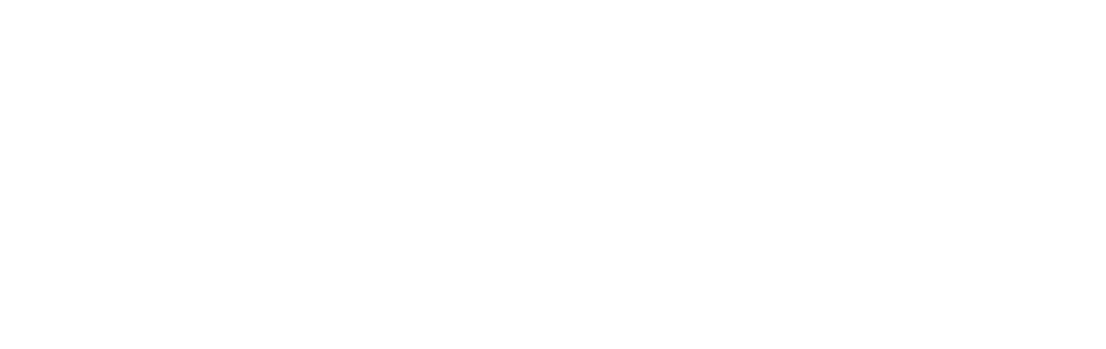 Brand Sky Technologies logo